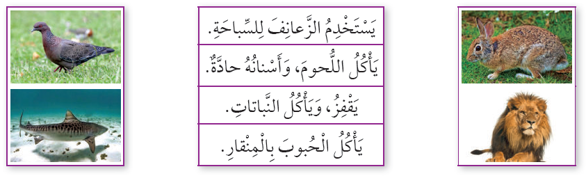 أصل بخط الصورة بالجملة المناسبة في ما يأتي: أصل بخط الصورة بالجملة المناسبة في ما يأتي: